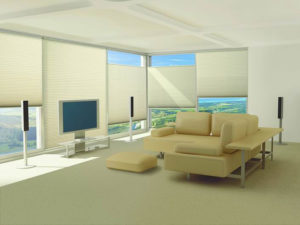 Duette honey comb shades on the window of the living area with off white furniture