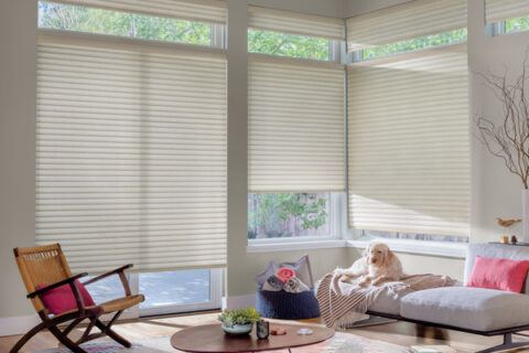 window covering in Colleyville, TX